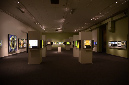 Wasp_exhibition__DSC3529